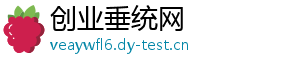 创业垂统网